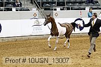 10usn_13007 proof