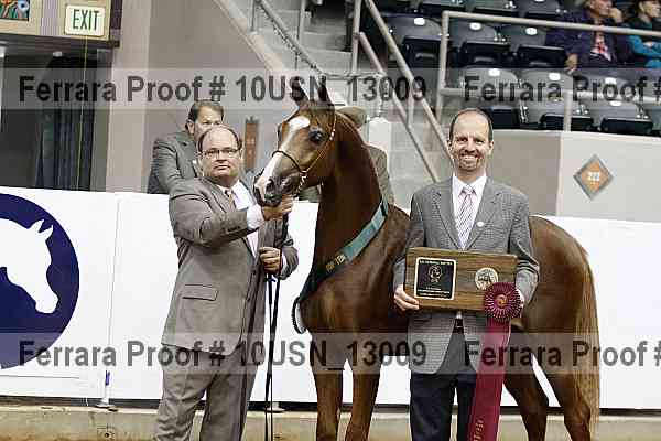 Proof 10usn_13009