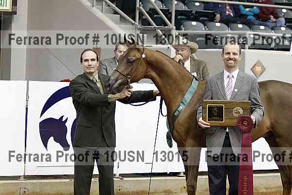Proof 10usn_13015