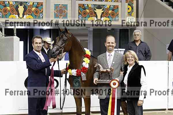 Proof 10usn_13018