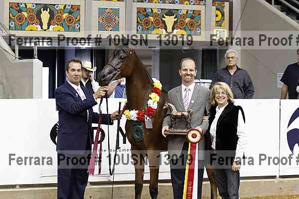 Proof 10usn_13019