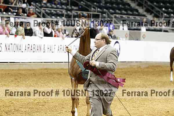 Proof 10usn_13027
