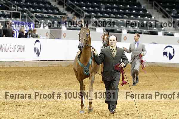 Proof 10usn_13031