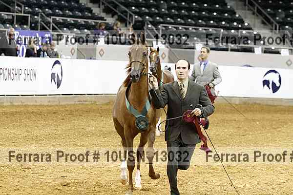 Proof 10usn_13032