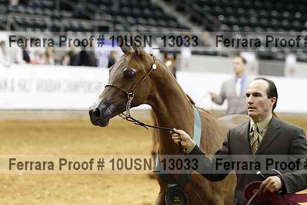 Proof 10usn_13033
