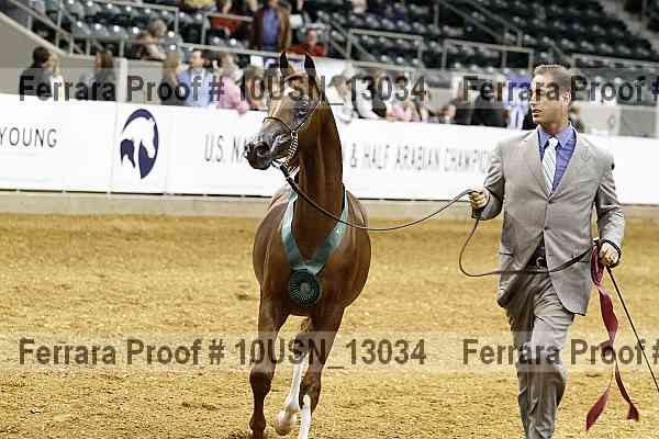 Proof 10usn_13034