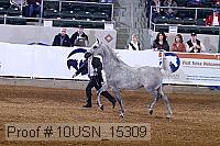 10usn_15309 proof