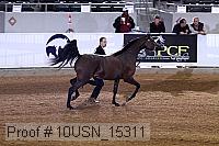 10usn_15311 proof