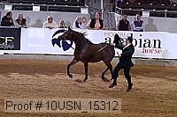 10usn_15312 proof
