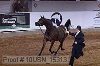 10usn_15313 proof