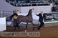 10usn_15314 proof