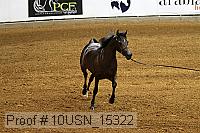10usn_15322 proof