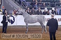 10usn_15328 proof