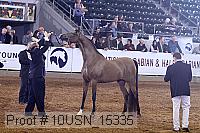 10usn_15335 proof