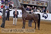 10usn_15339 proof