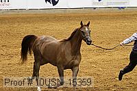 10usn_15359 proof