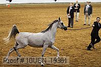 10usn_15361 proof