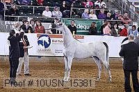 10usn_15381 proof