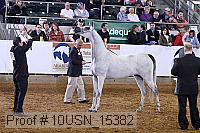 10usn_15382 proof