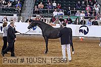 10usn_15389 proof