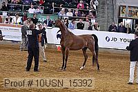 10usn_15392 proof
