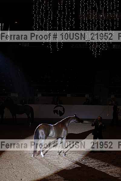 Proof 10usn_21952