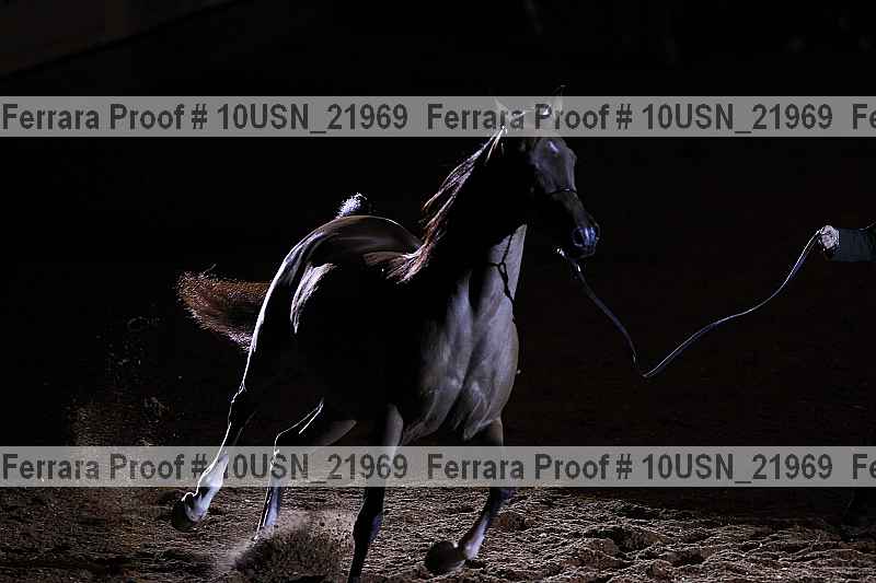 Proof 10usn_21969