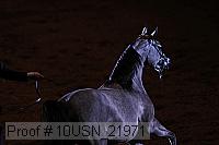 10usn_21971 proof
