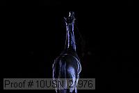 10usn_21976 proof