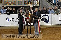 10usn_22001 proof