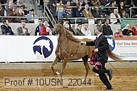 10usn_22044 proof