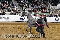 10usn_22052 proof
