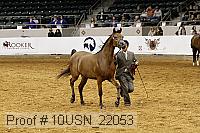 10usn_22053 proof