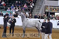 10usn_15423 proof