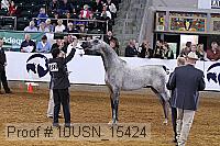 10usn_15424 proof