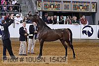 10usn_15429 proof