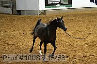 10usn_15453 proof