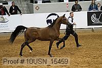 10usn_15459 proof