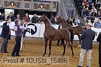 10usn_15466 proof