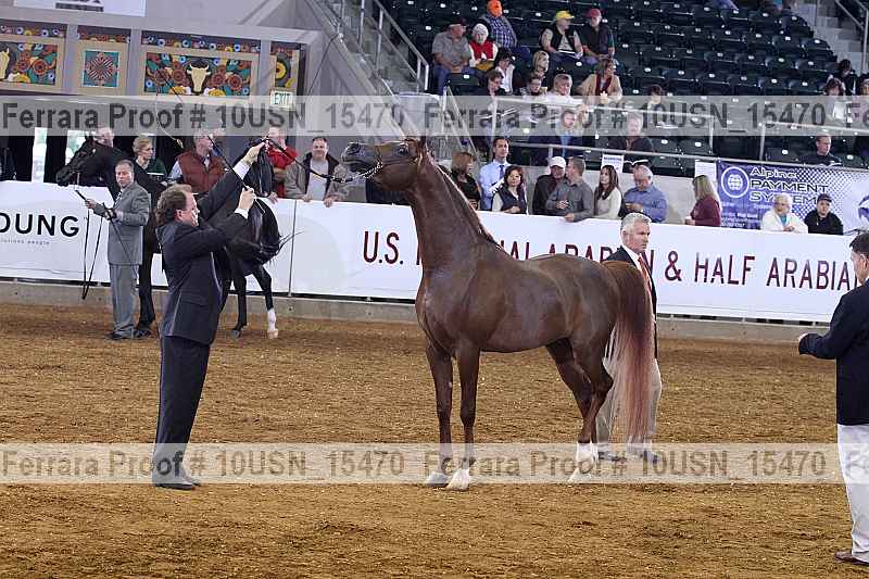 Proof 10usn_15470