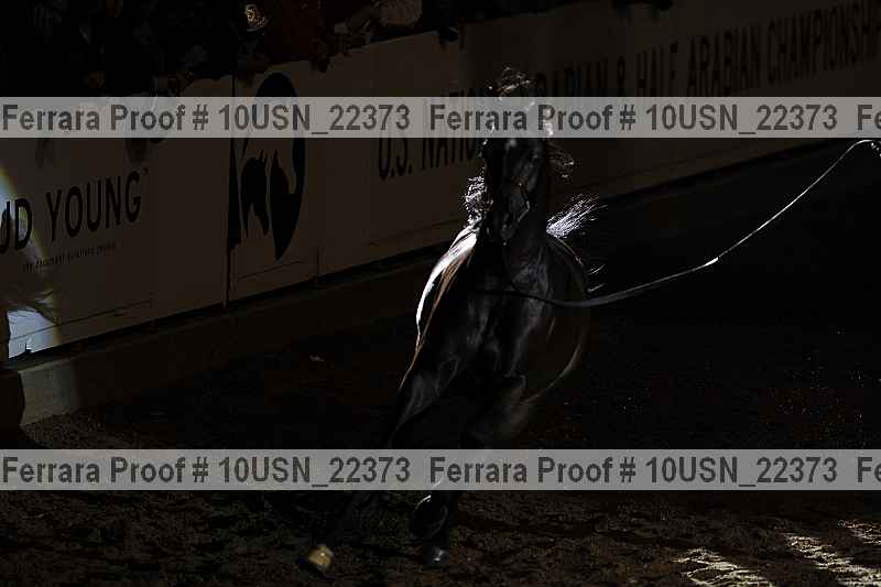 Proof 10usn_22373
