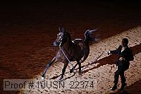 10usn_22374 proof