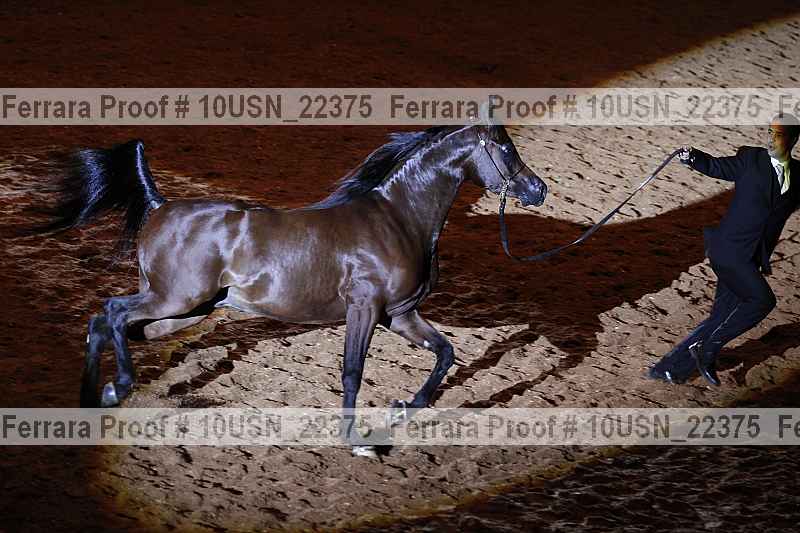 Proof 10usn_22375