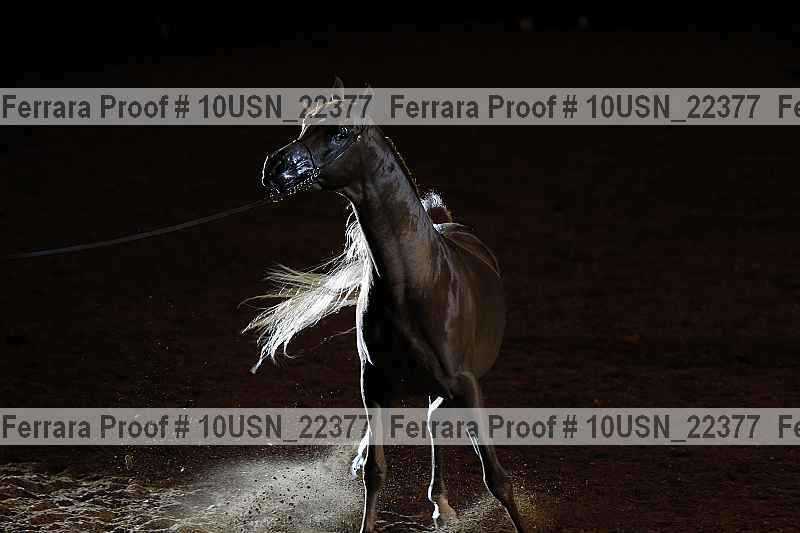 Proof 10usn_22377