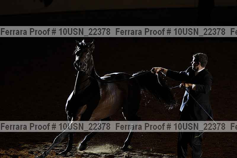 Proof 10usn_22378