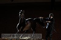 10usn_22378 proof