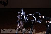 10usn_22380 proof