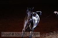 10usn_22381 proof