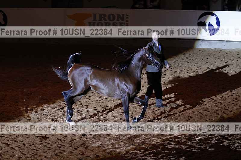 Proof 10usn_22384