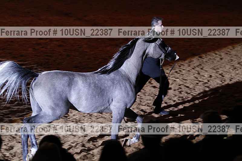 Proof 10usn_22387